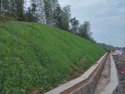 边坡复绿